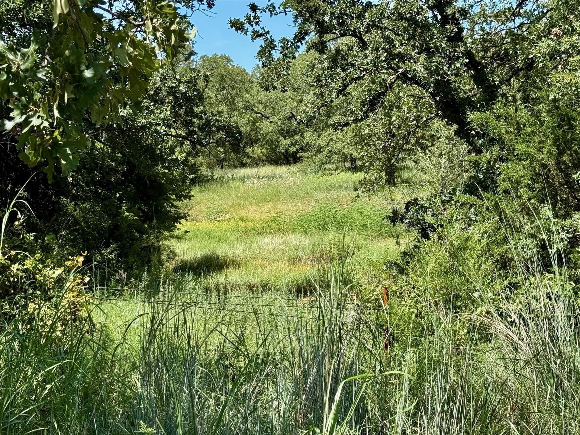 22.5 acres in Montague County - photo 3