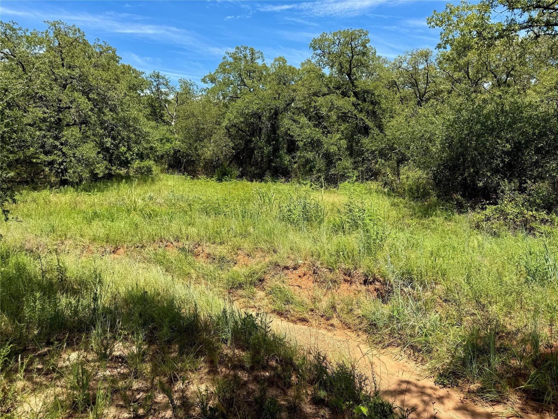 22.5 acres in Montague County - photo 7