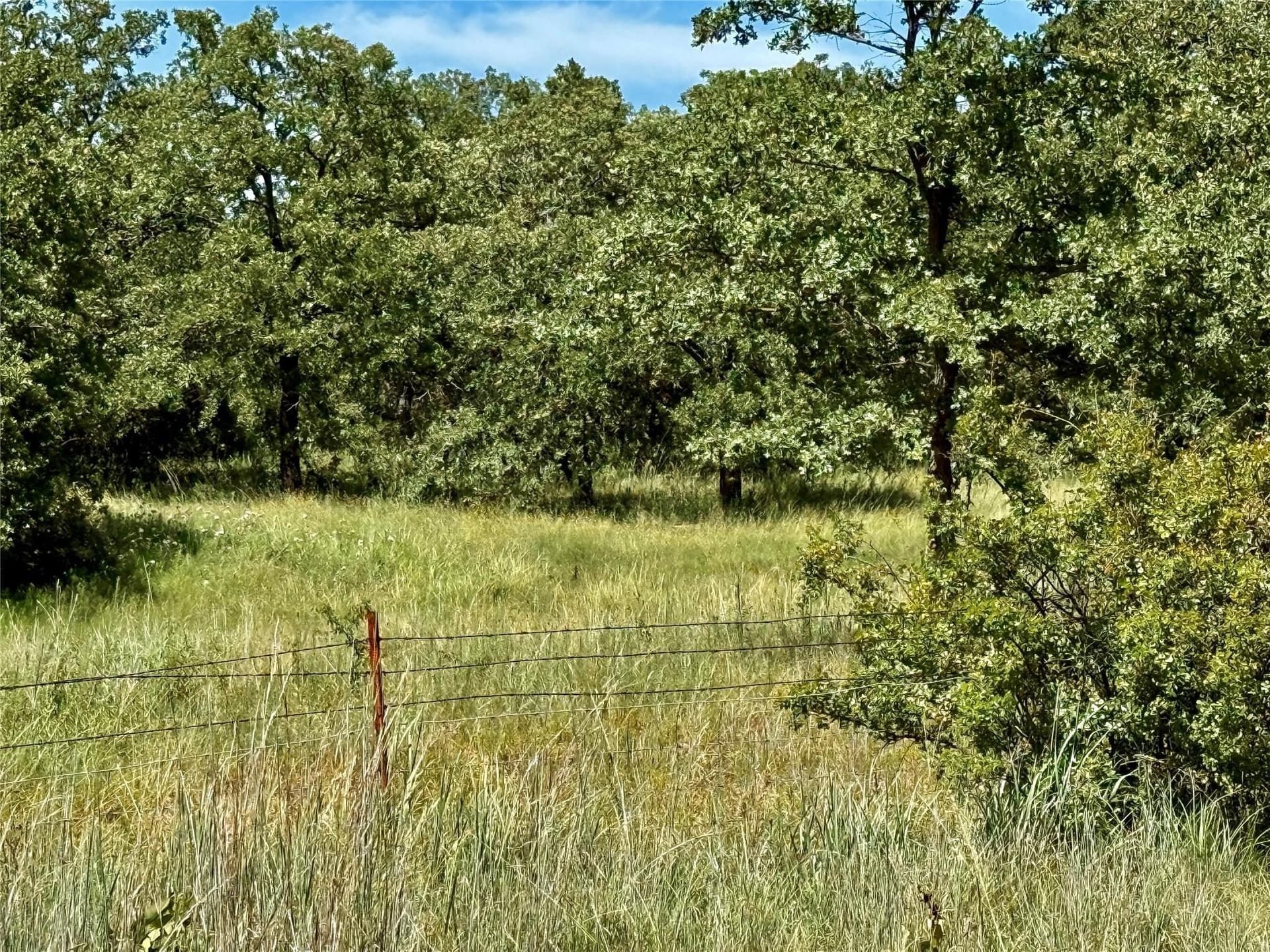 22.5 acres in Montague County - photo 2