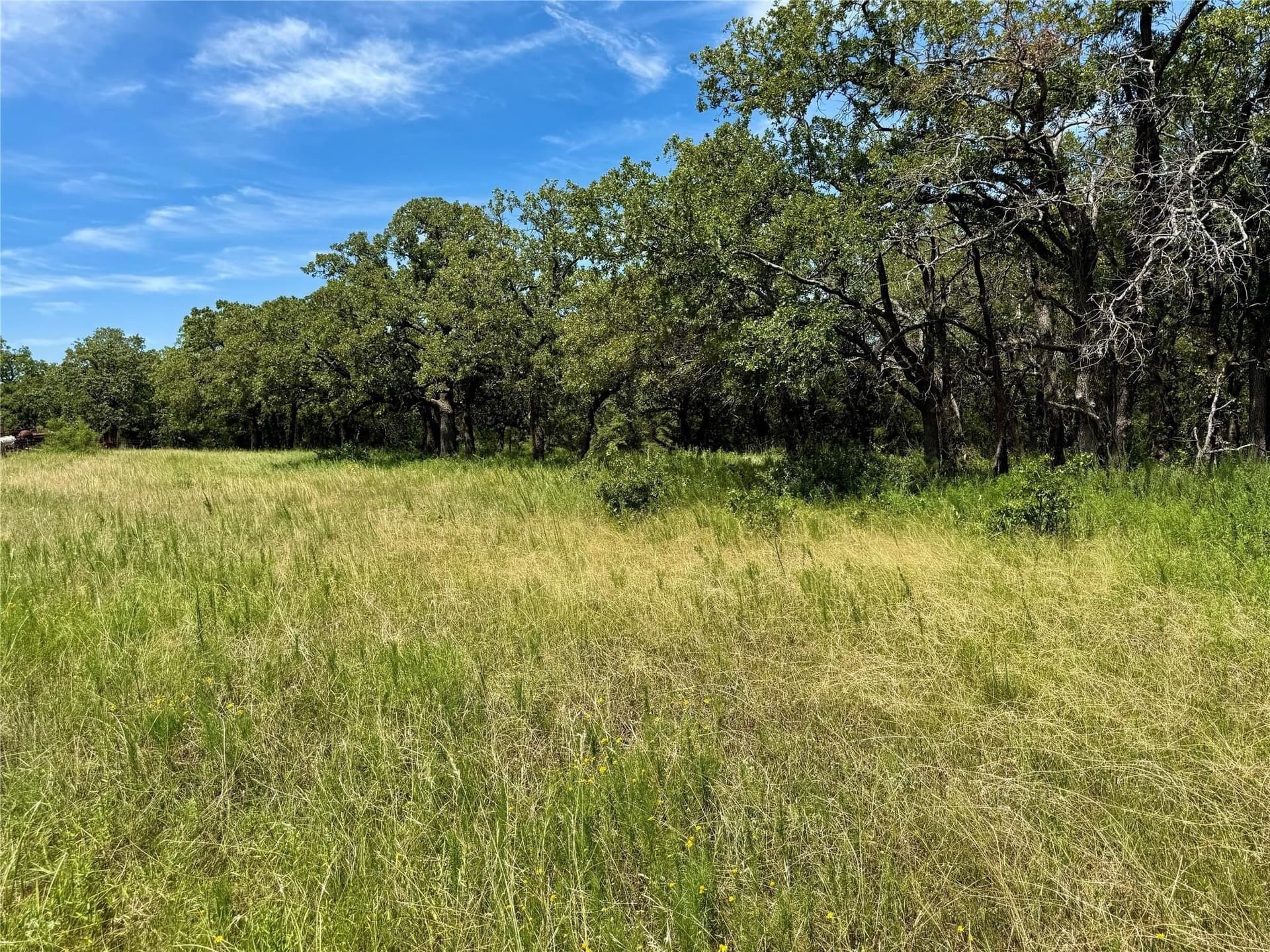 22.5 acres in Montague County - photo 10