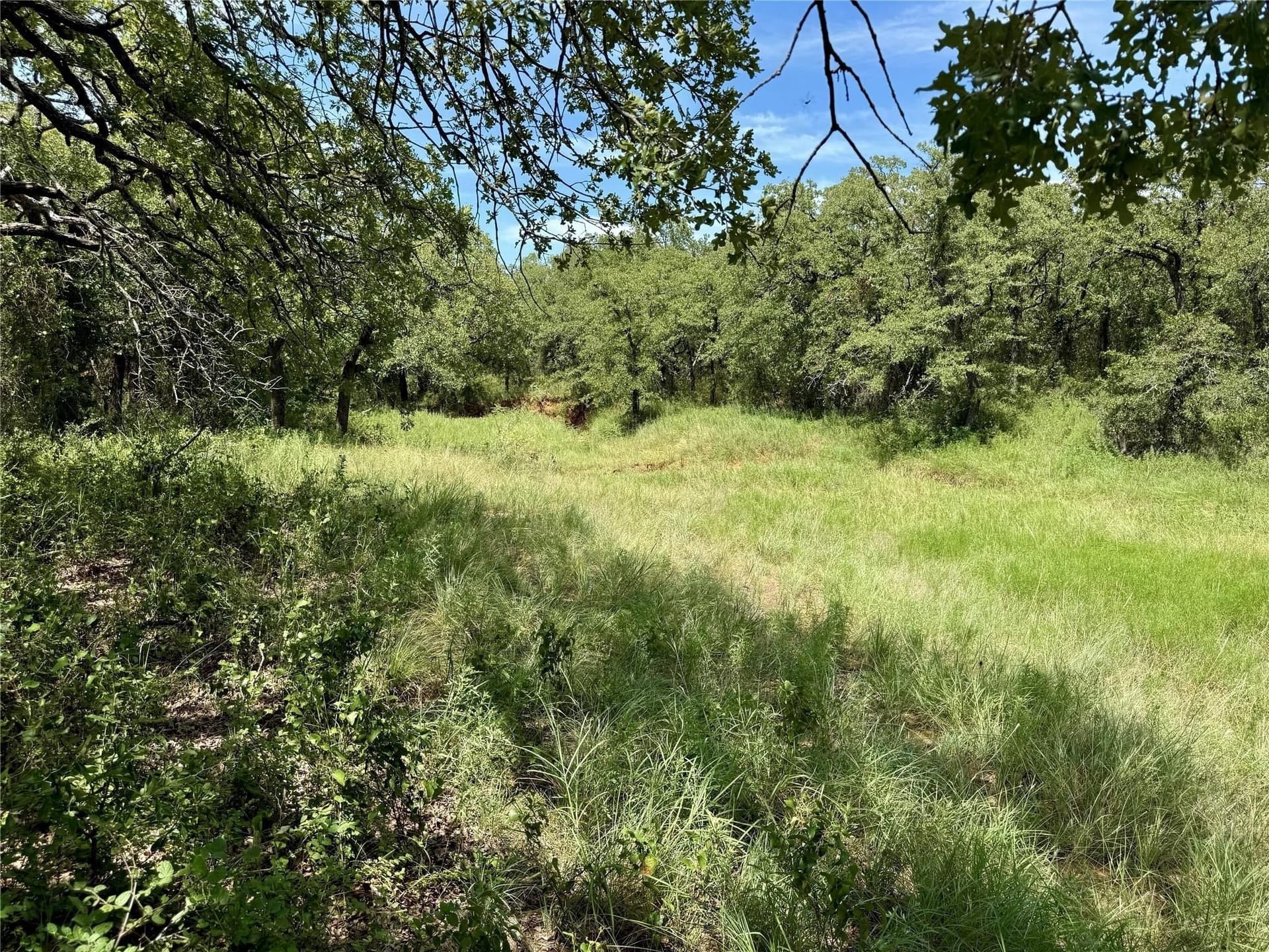 22.5 acres in Montague County - photo 11
