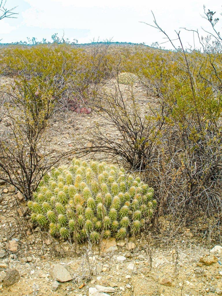 21 acres in Brewster County - photo 7