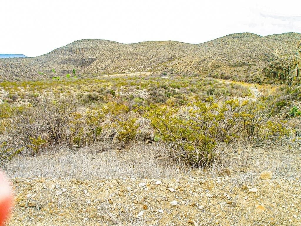 21 acres in Brewster County