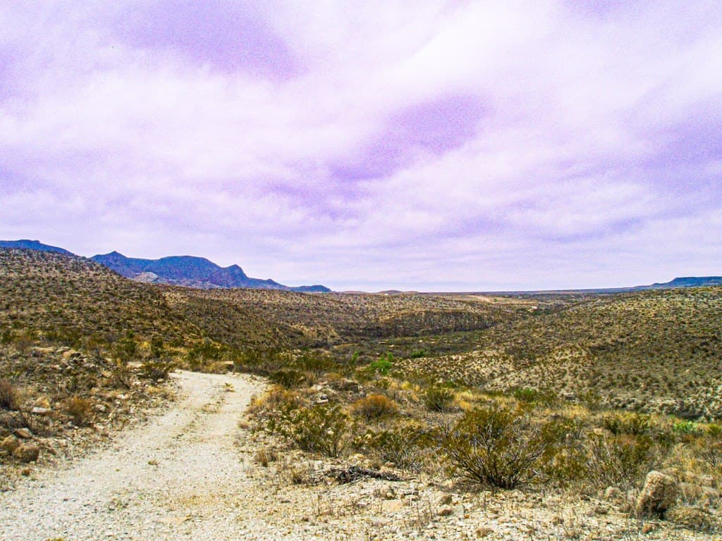 21 acres in Brewster County gallery image 4