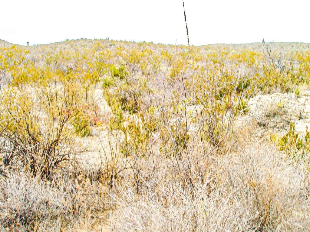 21 acres in Brewster County - photo 6