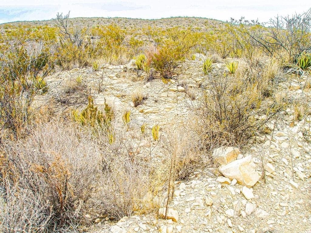 21 acres in Brewster County gallery image 2