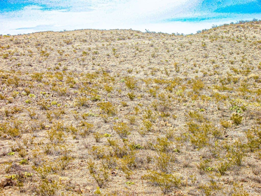 21 acres in Brewster County gallery image 3