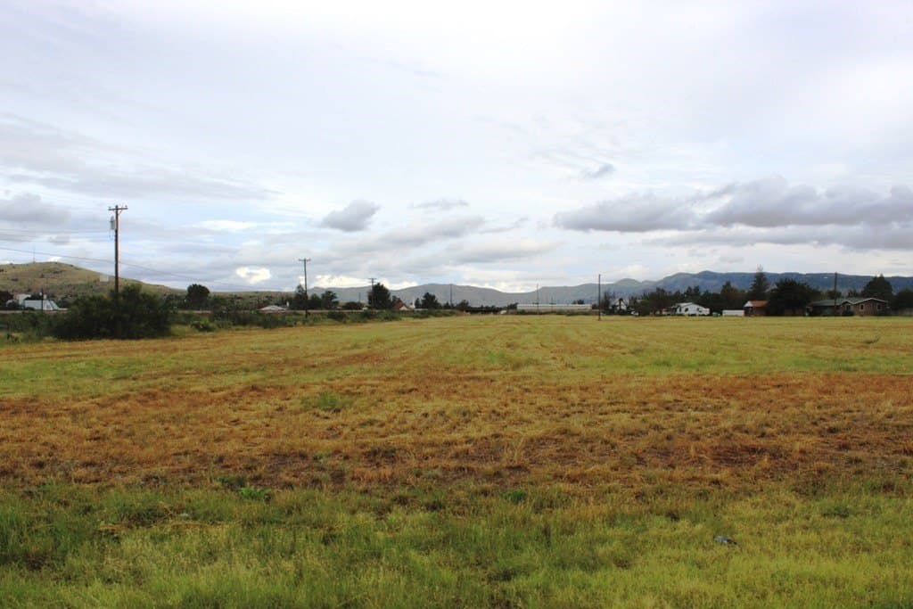 0 acres in Brewster County gallery image 4