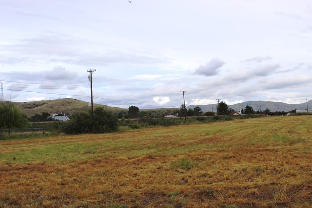0 acres in Brewster County - photo 8