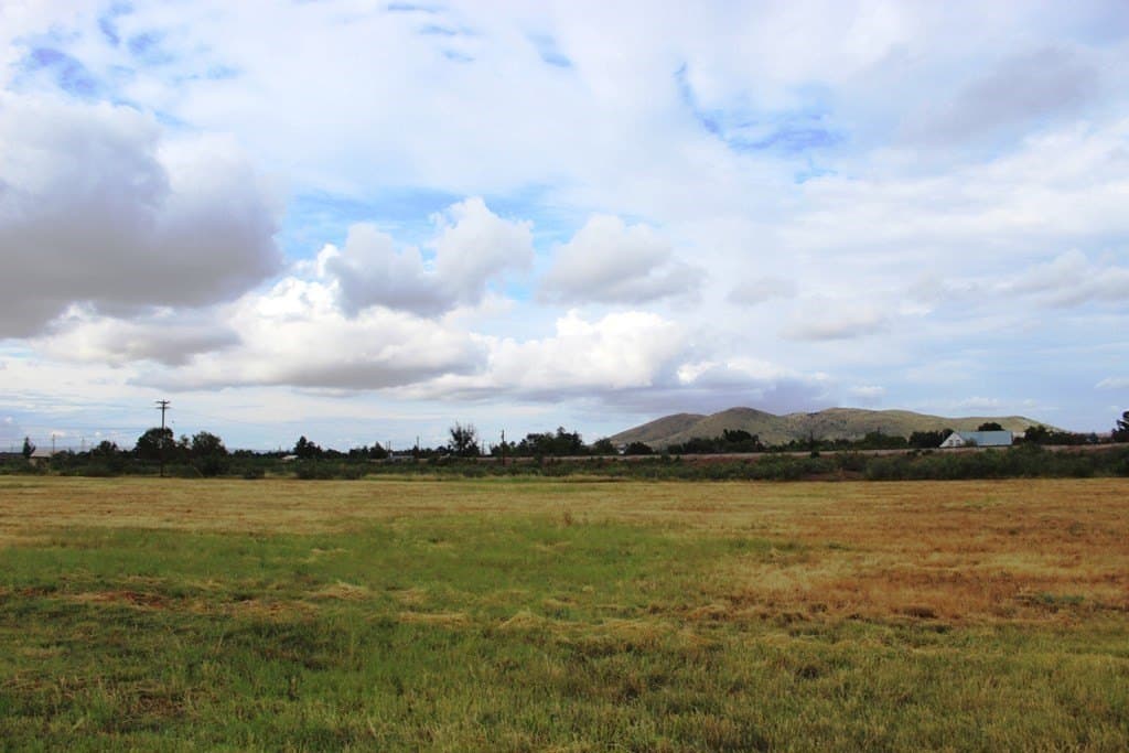 0 acres in Brewster County - photo 11