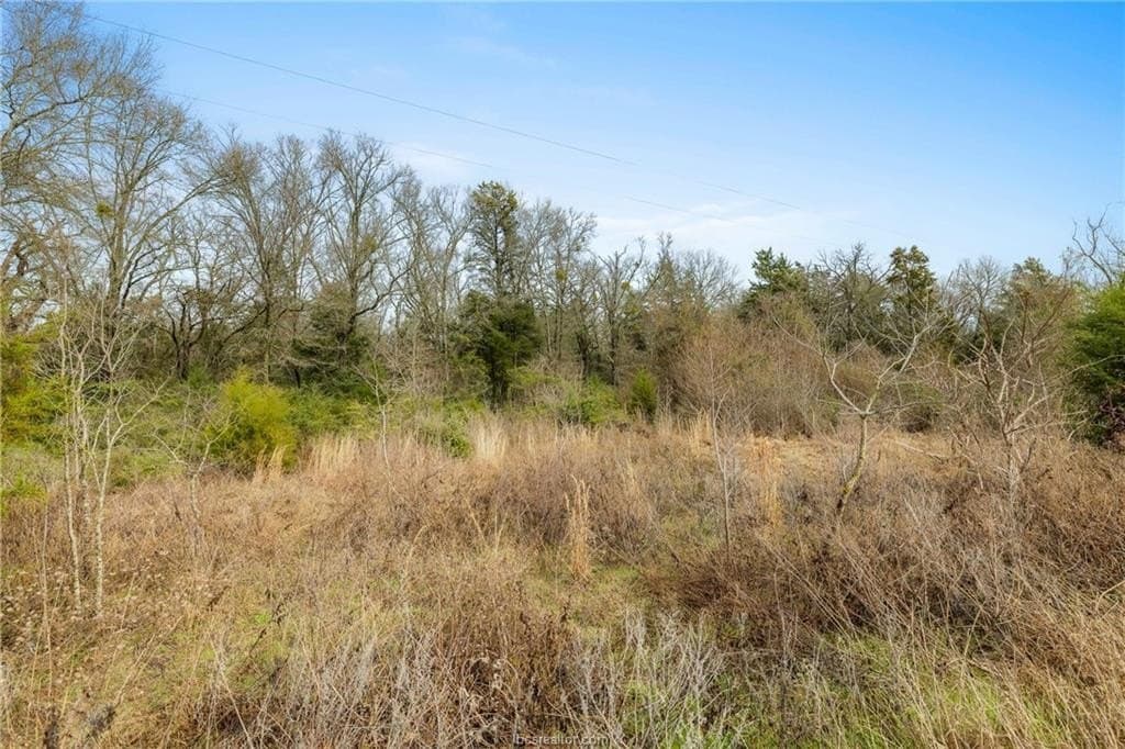 8 acres in Leon County gallery image 2