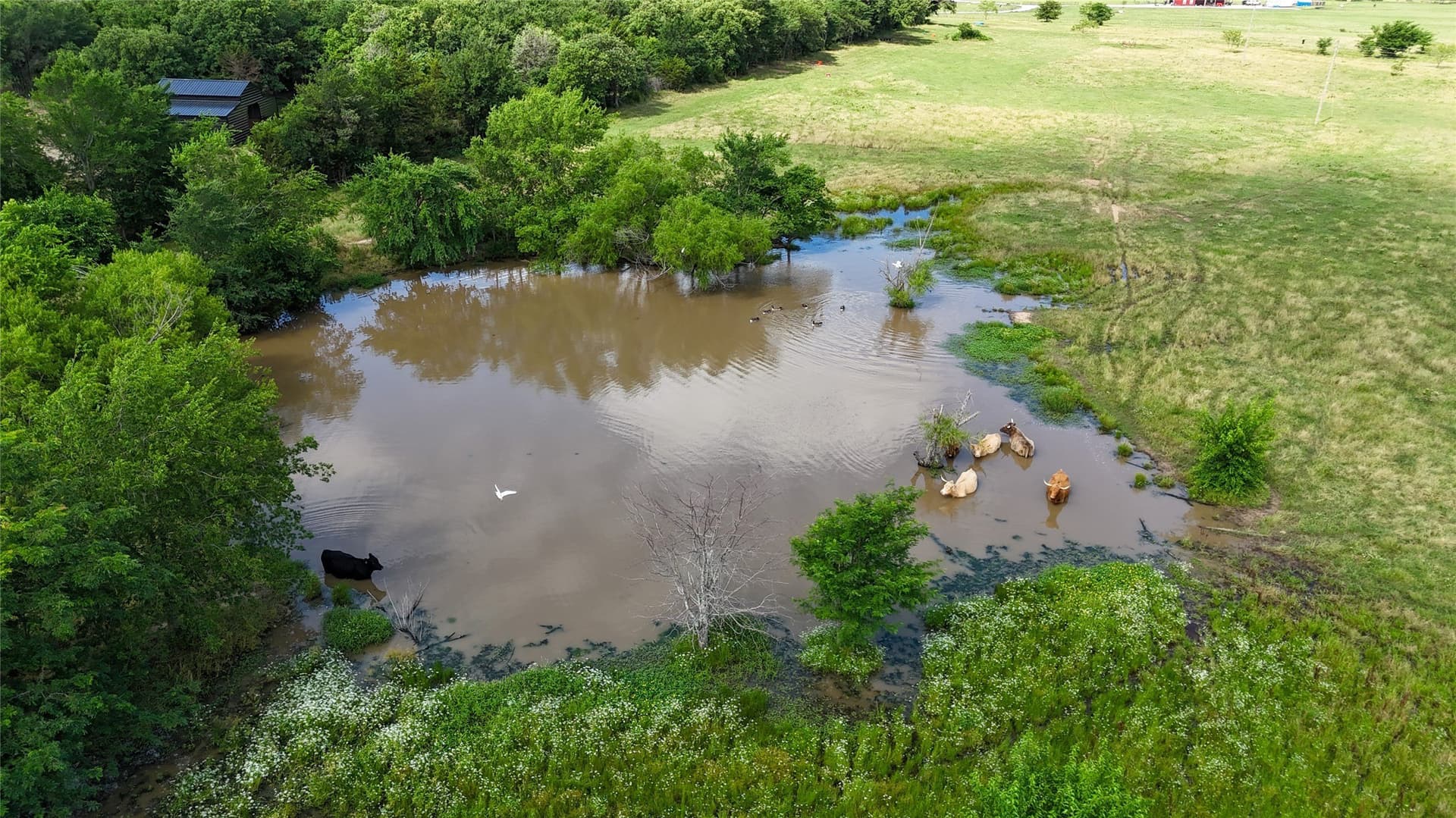 11.75 acres in Cooke County