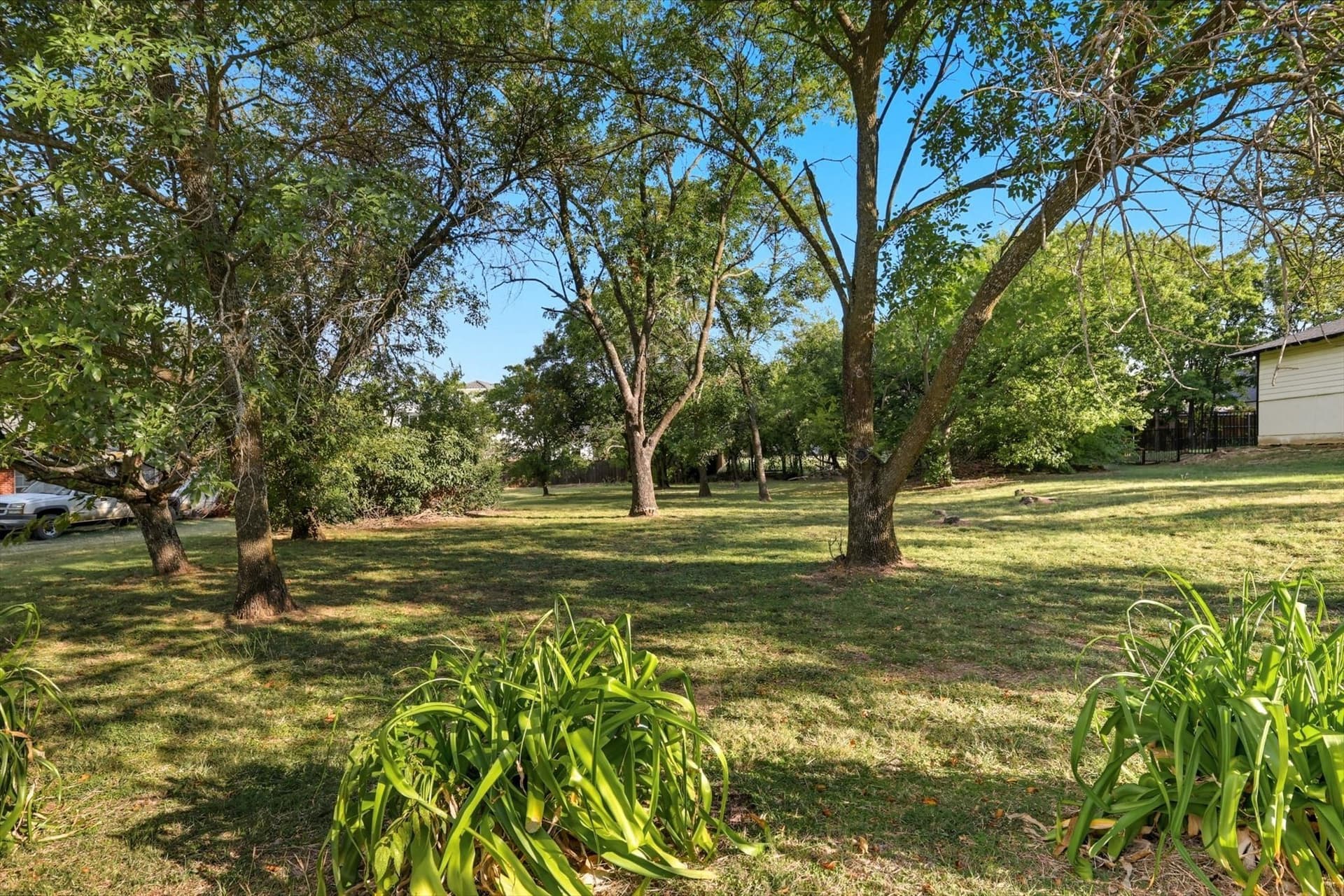 0.29 acres in Collin County - photo 17