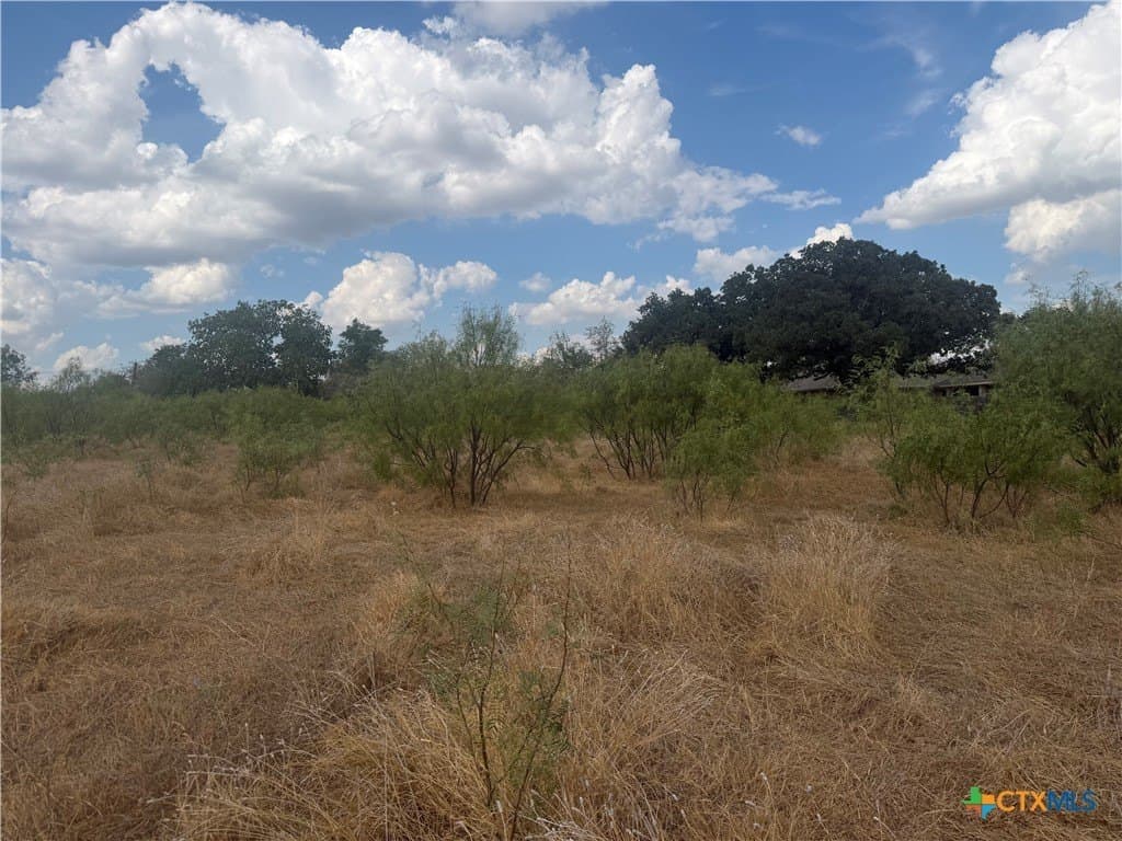 1.92 acres in Coryell County - photo 3