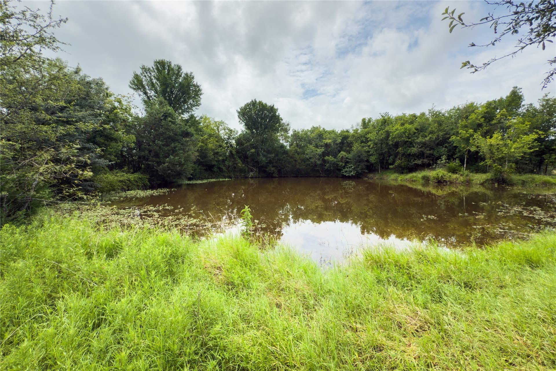2.62 acres in Falls County - photo 9