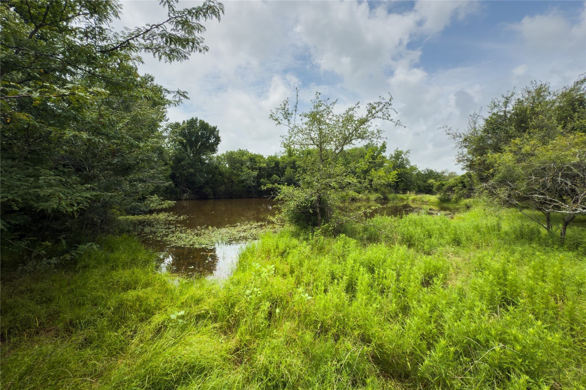 2.62 acres in Falls County - photo 10