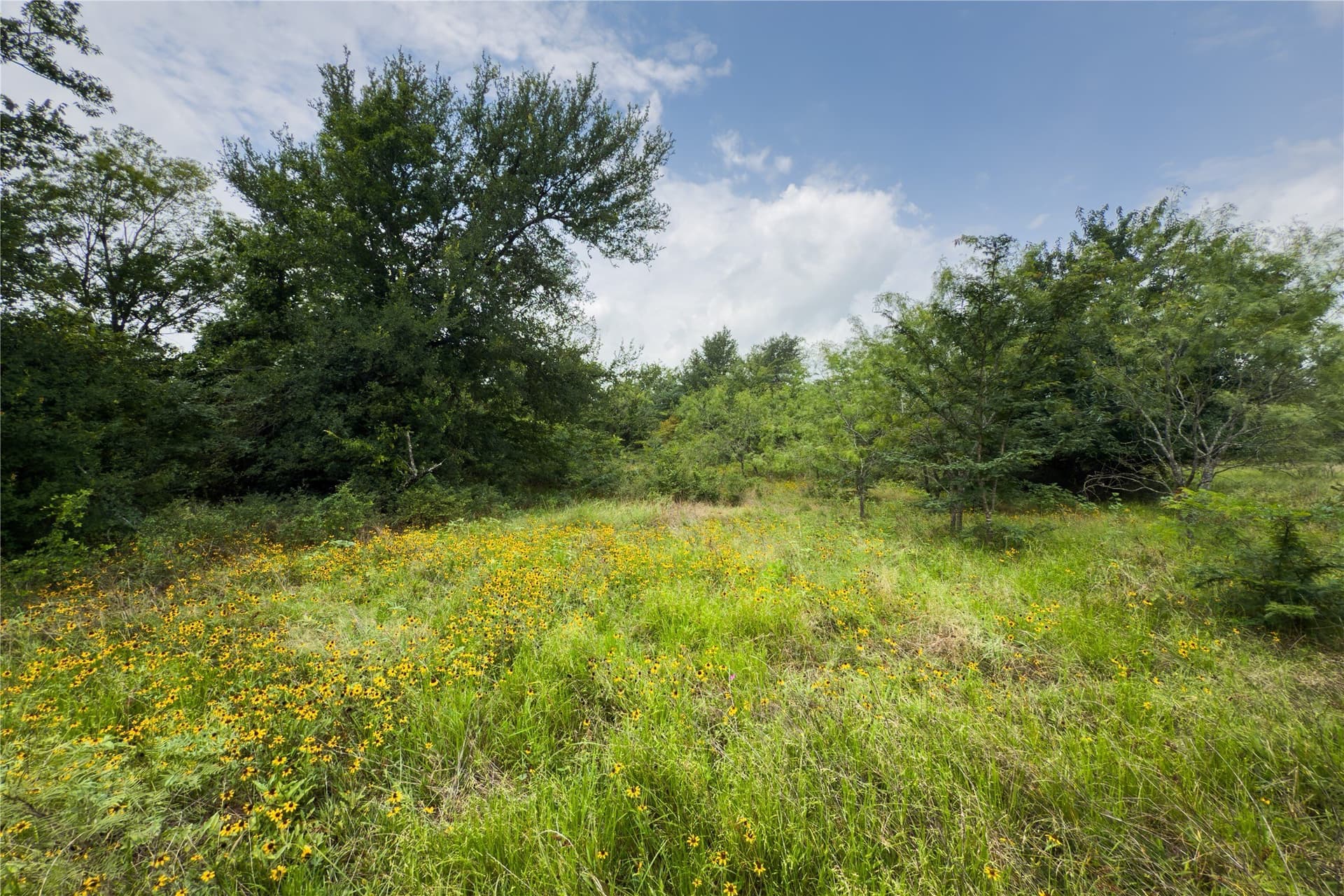 2.62 acres in Falls County - photo 2