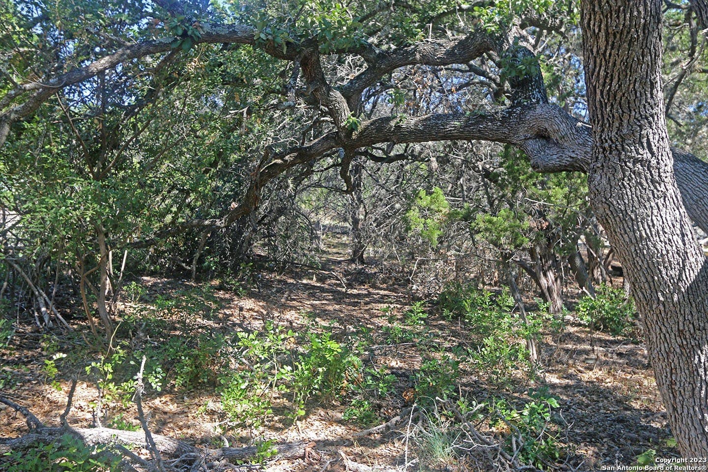 0.27 acres in Comal County featured view