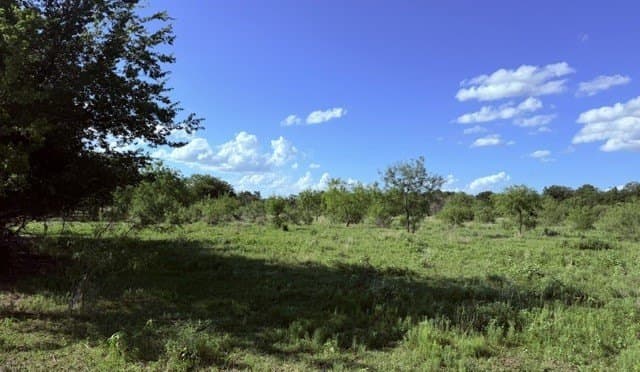 13.17 acres in Navarro County gallery image 4