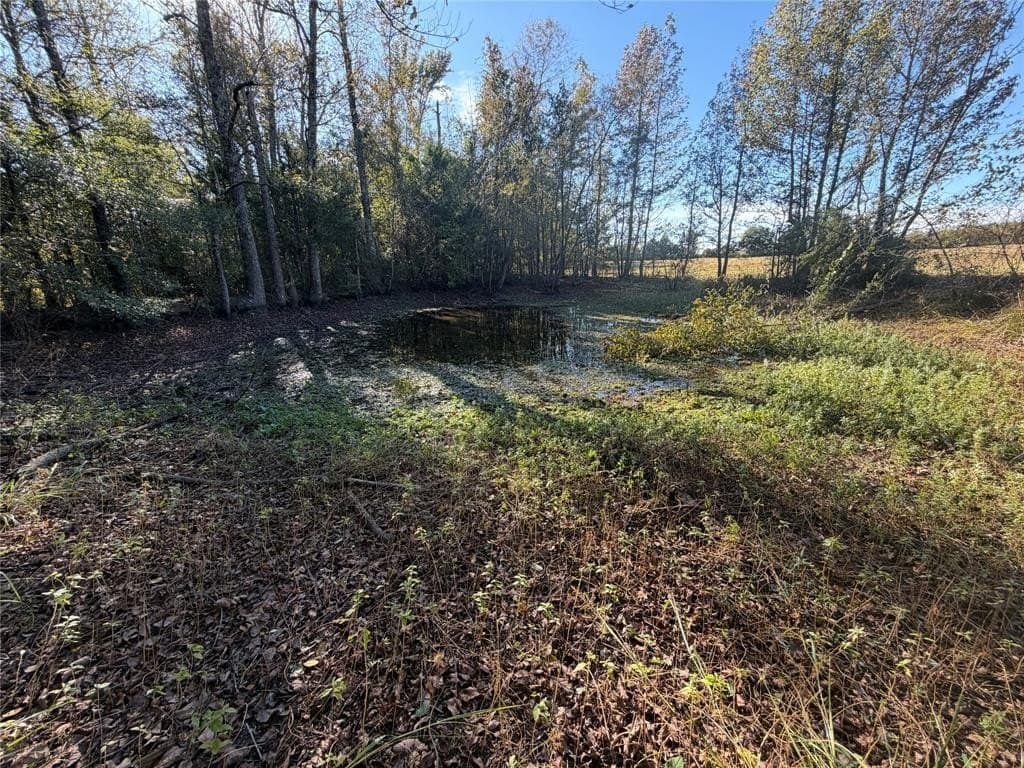 20 acres in Bowie County gallery image 4