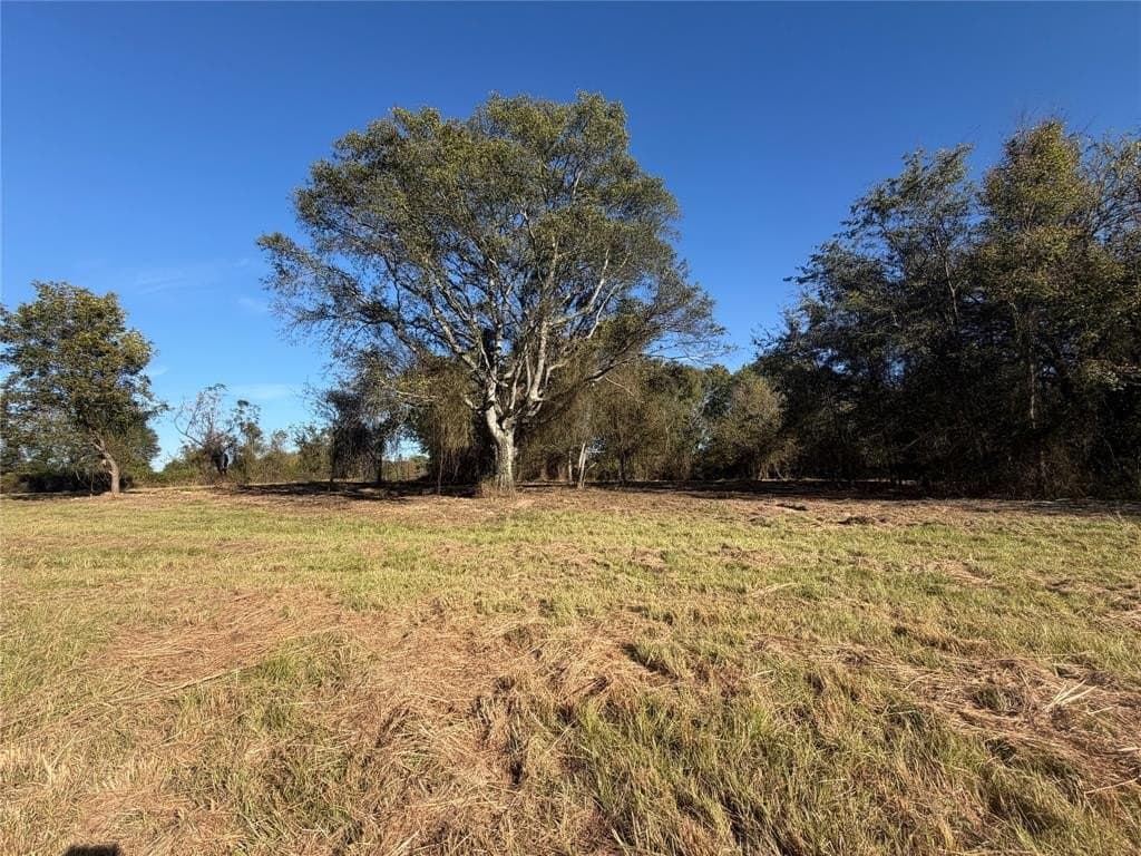 20 acres in Bowie County