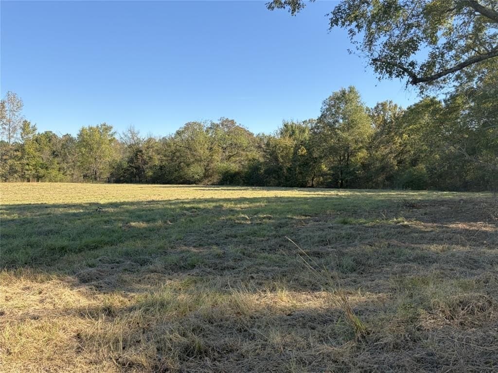 20 acres in Bowie County featured view