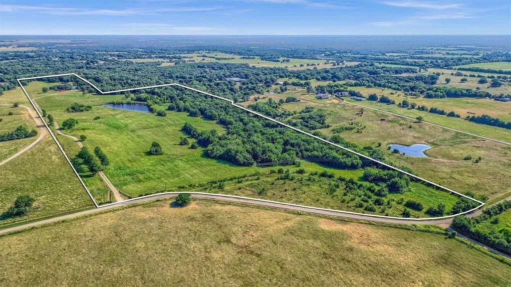 65.96 acres in Fannin County gallery image 2