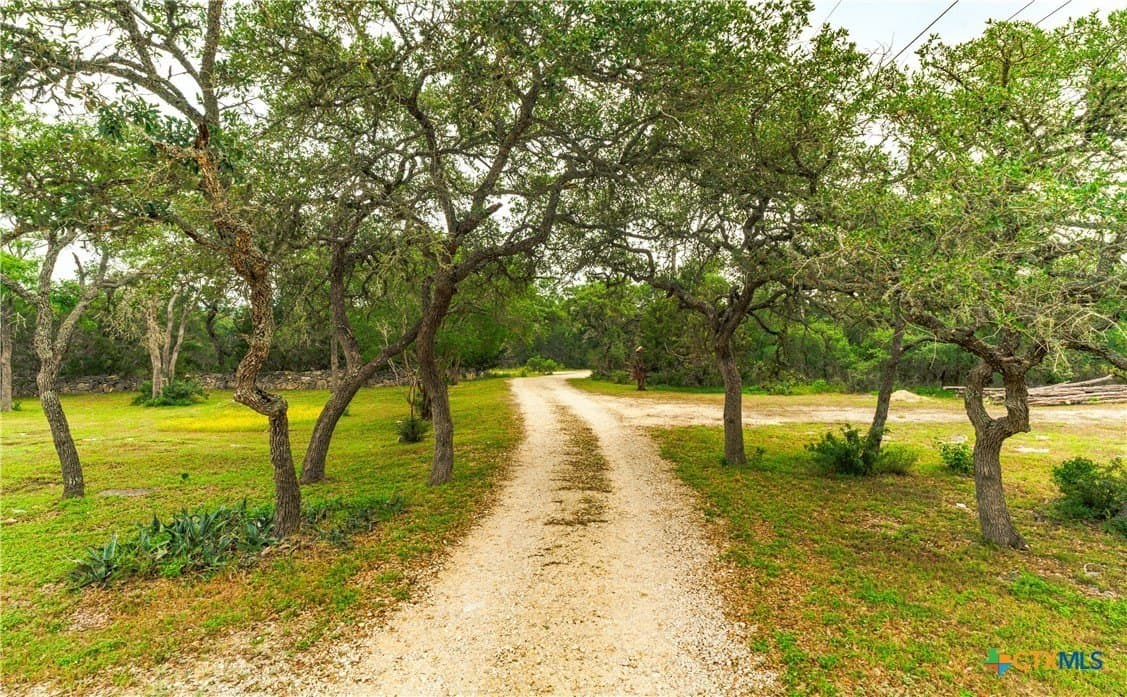 24 acres in Hays County - photo 4