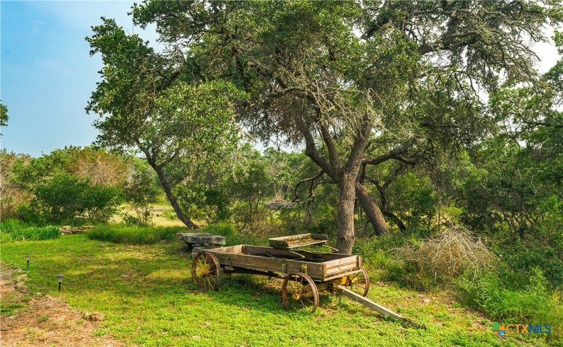 24 acres in Hays County - photo 20