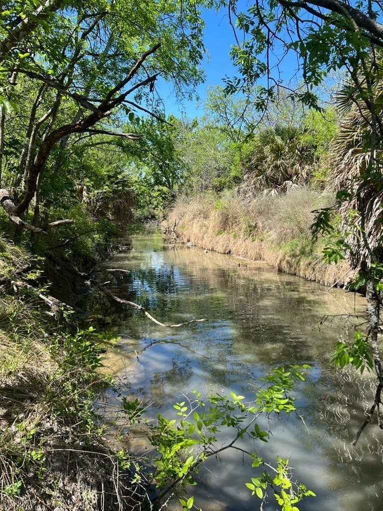 21.15 acres in Maverick County gallery image 4