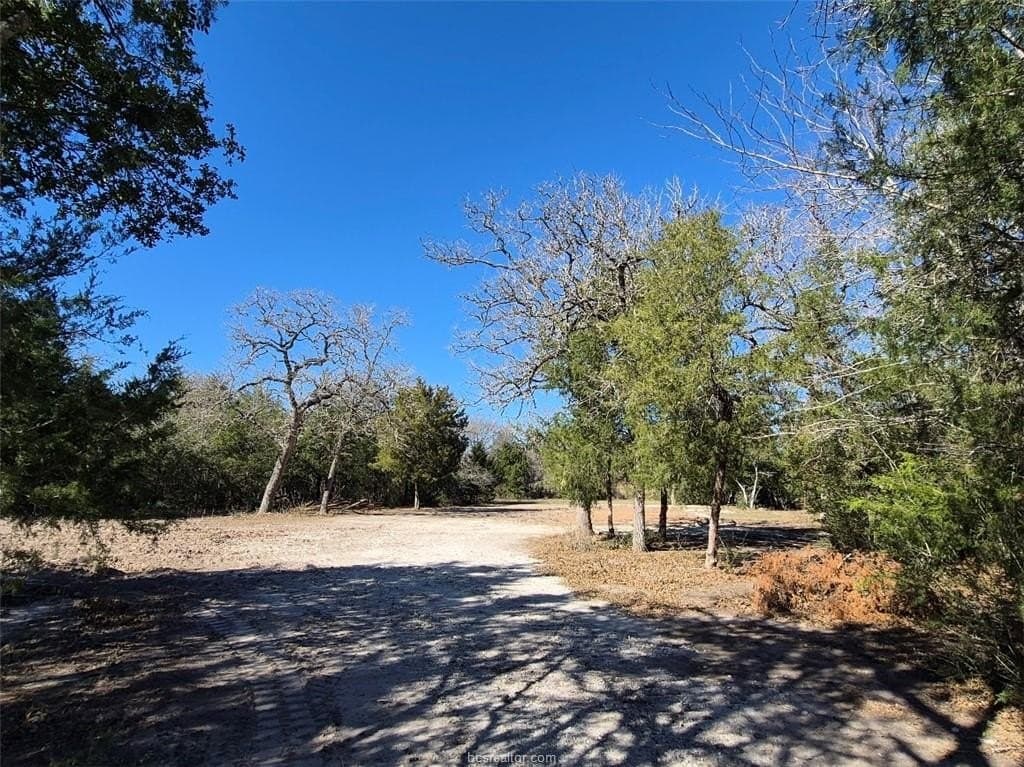 1 acres in Brazos County - photo 6