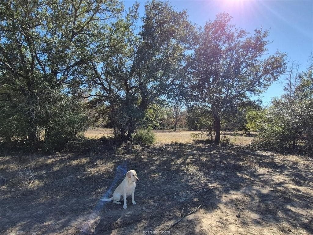 1 acres in Brazos County - photo 9