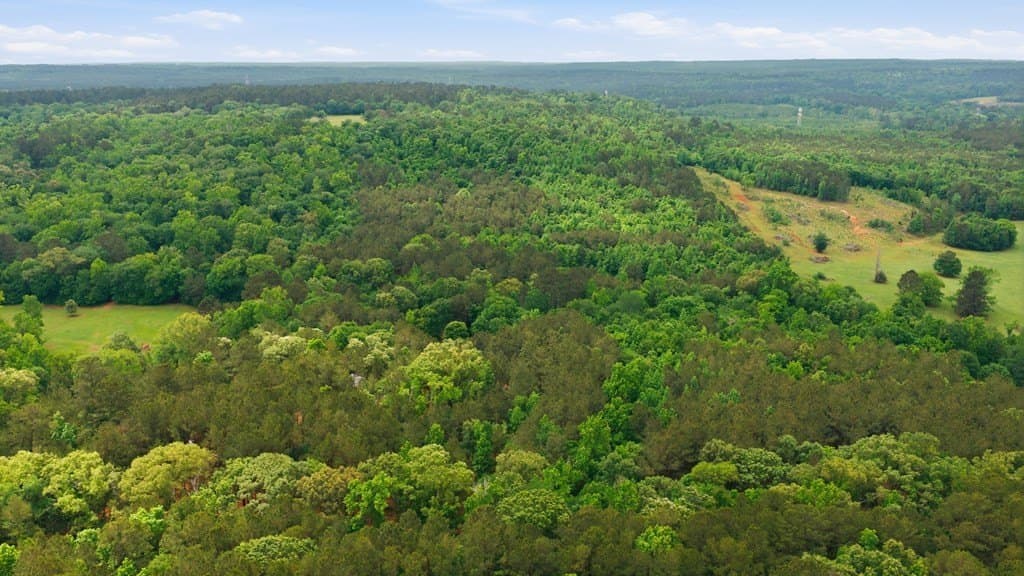52.52 acres in CHEROKEE County - photo 60