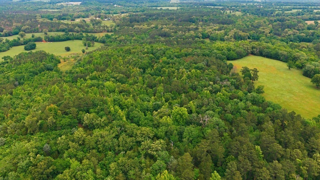 52.52 acres in CHEROKEE County - photo 55