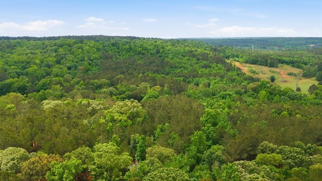 52.52 acres in CHEROKEE County - photo 52