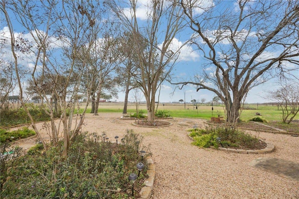 2 acres in AUSTIN County - photo 20