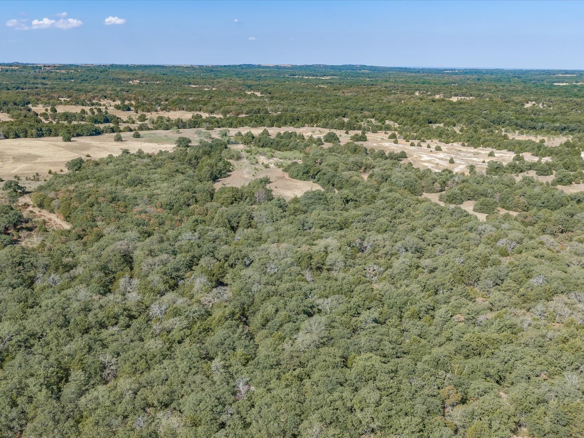 143.38 acres in Wise County - photo 12
