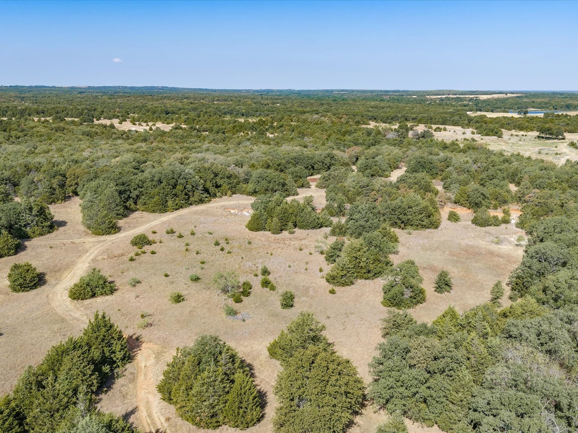 143.38 acres in Wise County - photo 5
