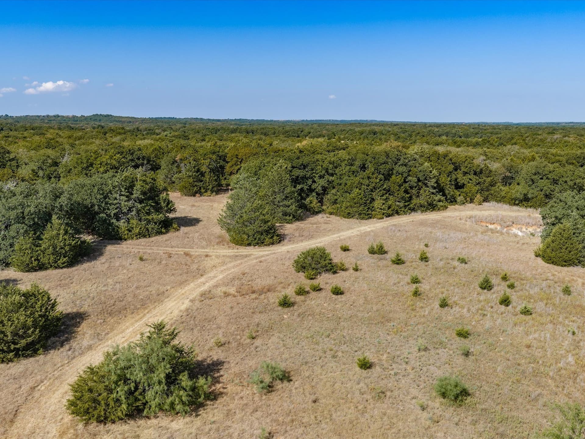 143.38 acres in Wise County - photo 7