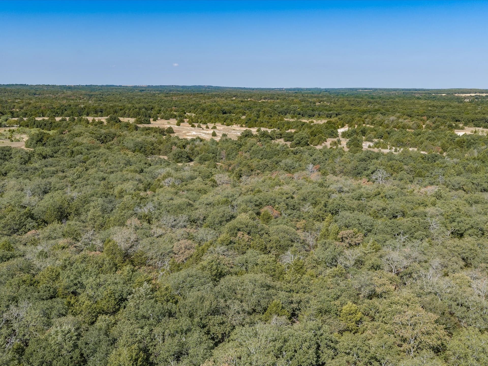 143.38 acres in Wise County - photo 10