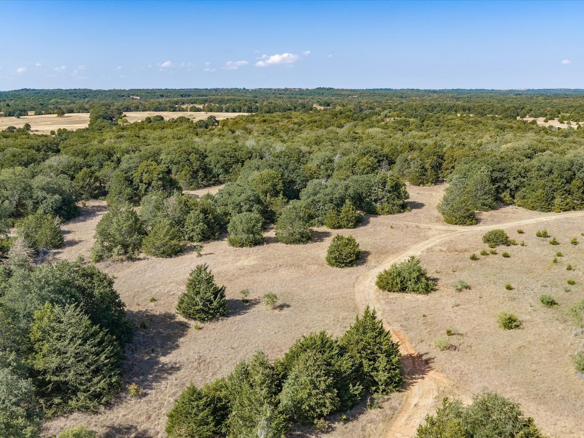 143.38 acres in Wise County - photo 6