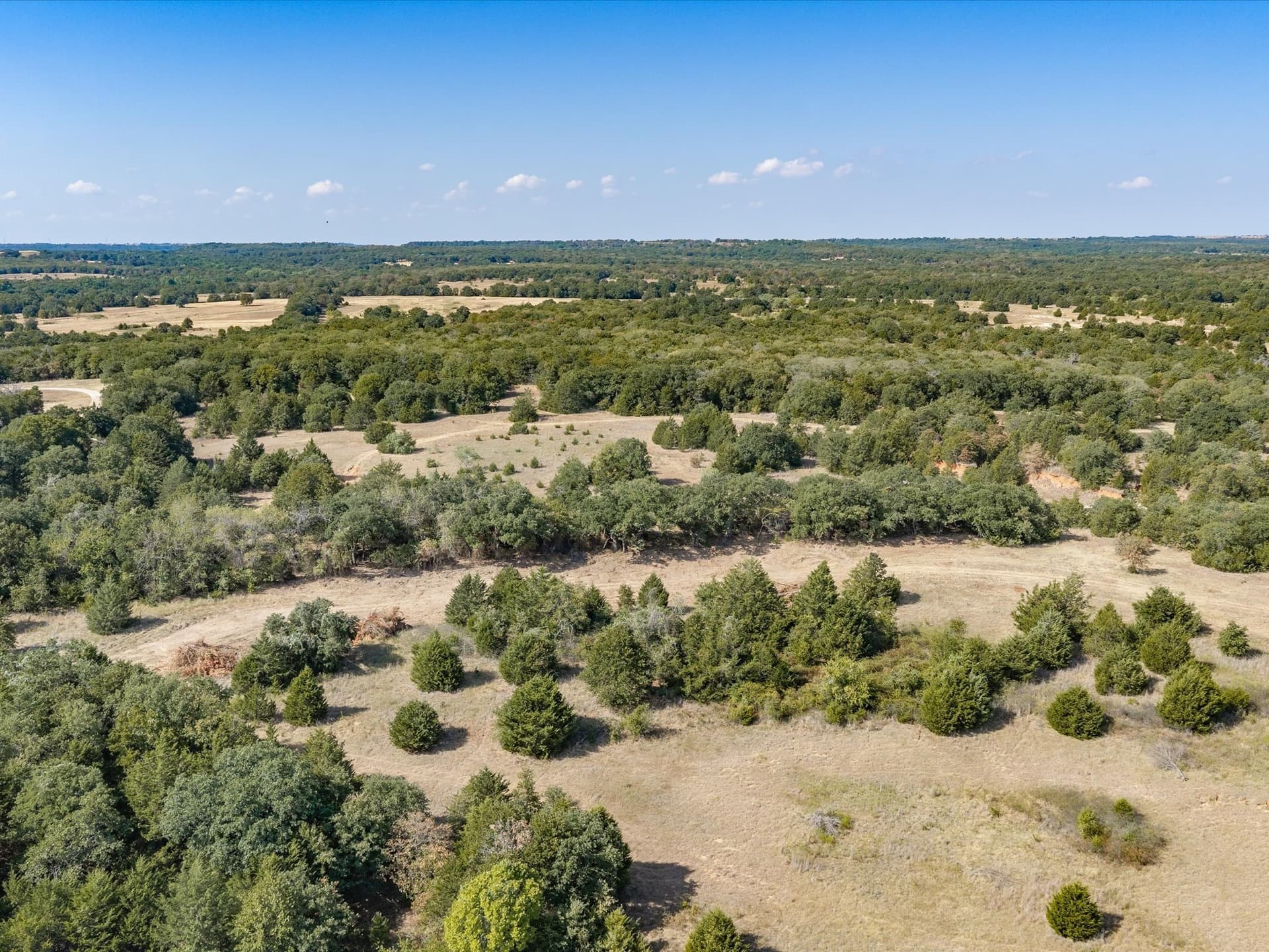 143.38 acres in Wise County - photo 22