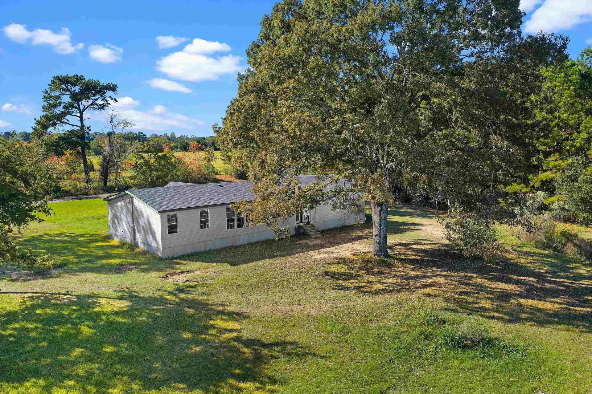 13.51 acres in Panola County gallery image 3