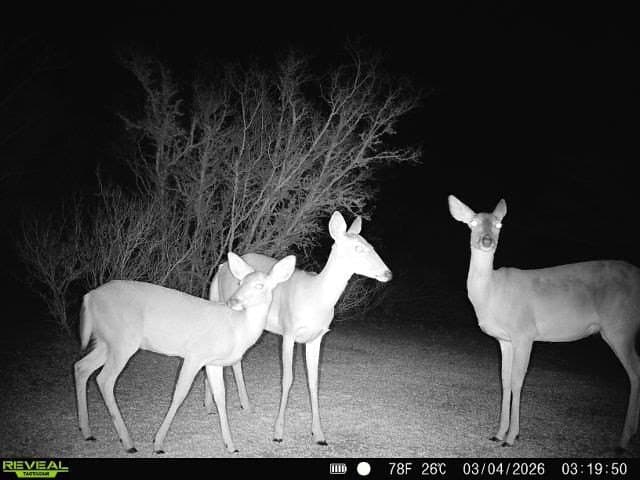 40.48 acres in Duval County featured view