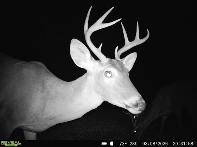 40.48 acres in Duval County