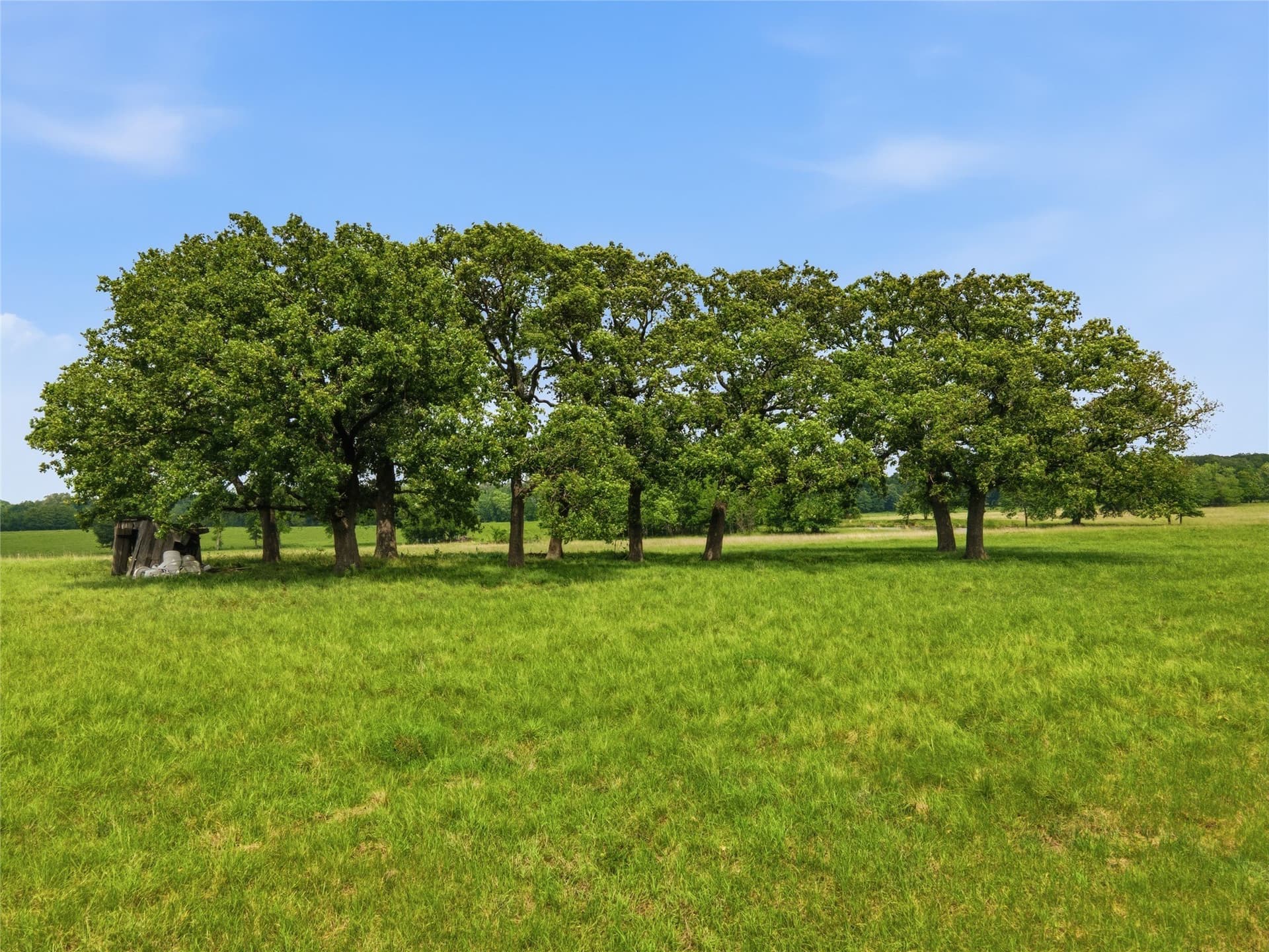 18 acres in Hopkins County - photo 18