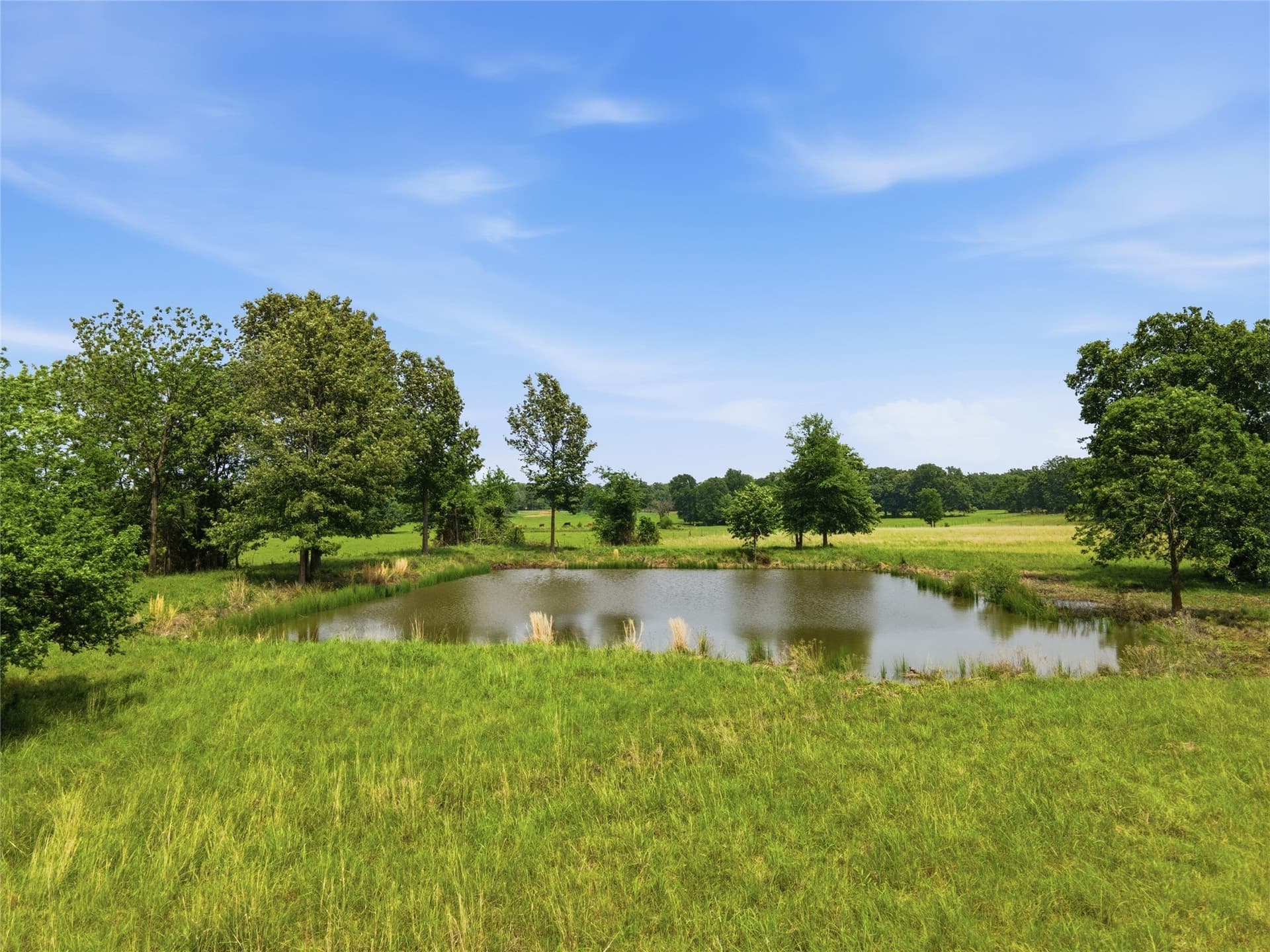 18 acres in Hopkins County - photo 10