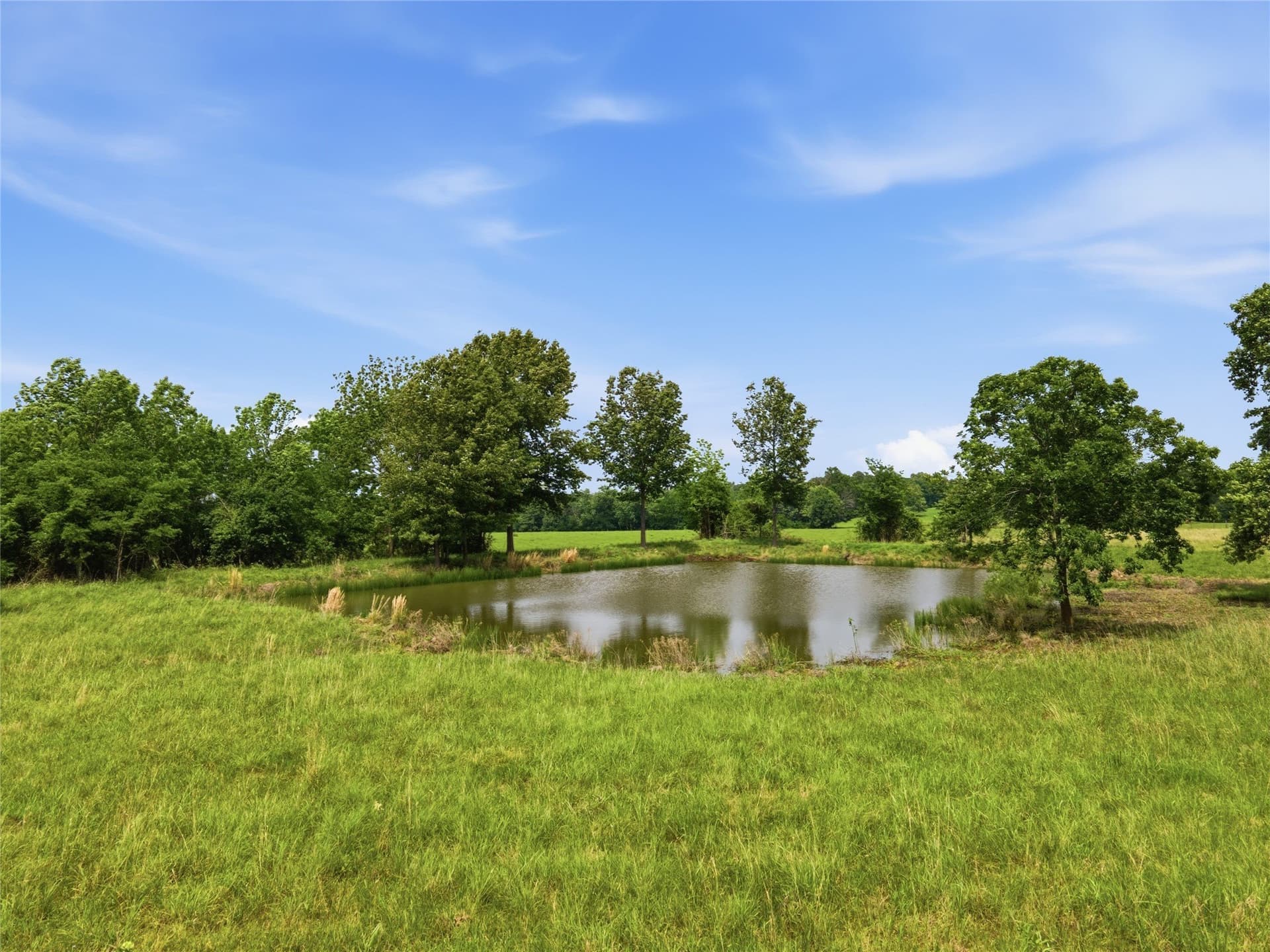 18 acres in Hopkins County - photo 11