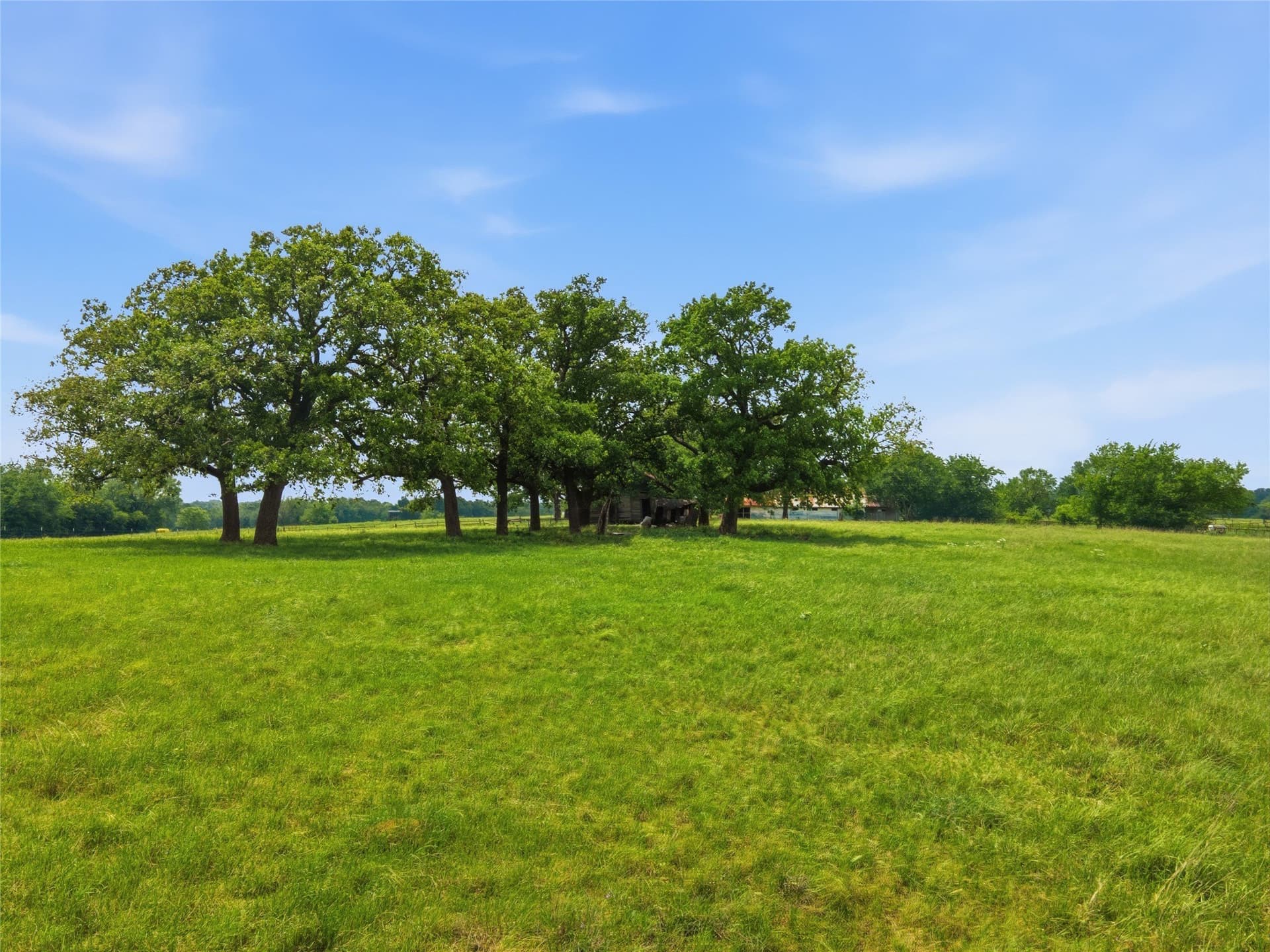 18 acres in Hopkins County - photo 12