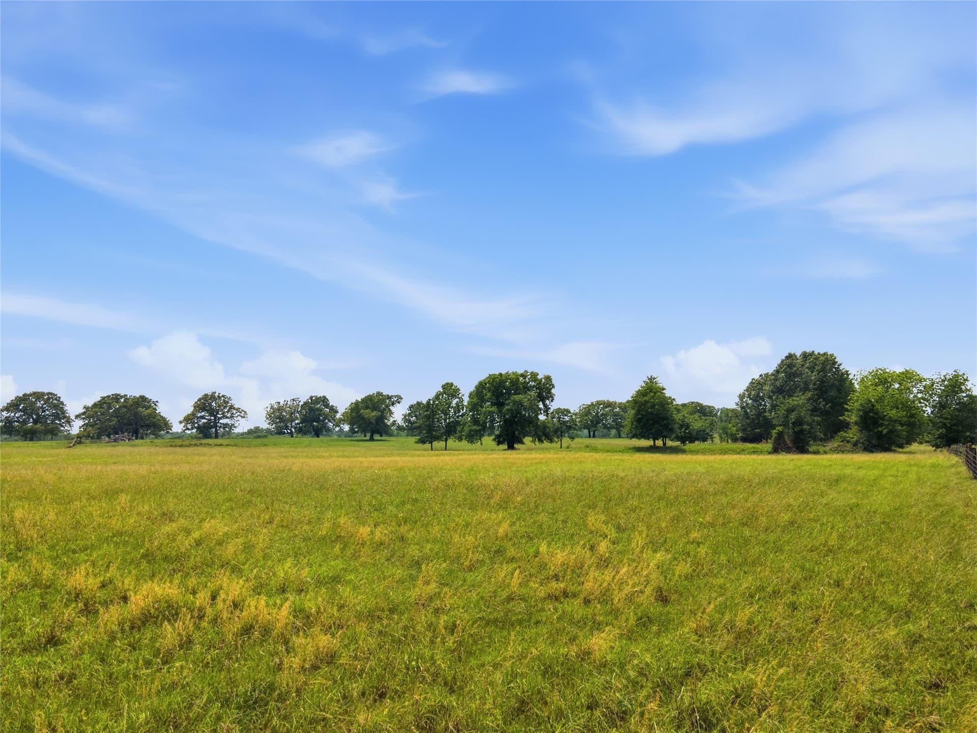 18 acres in Hopkins County - photo 6
